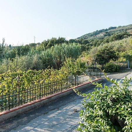 Fuga In Toscana บอร์โก อา บุจจาโน ภายนอก รูปภาพ