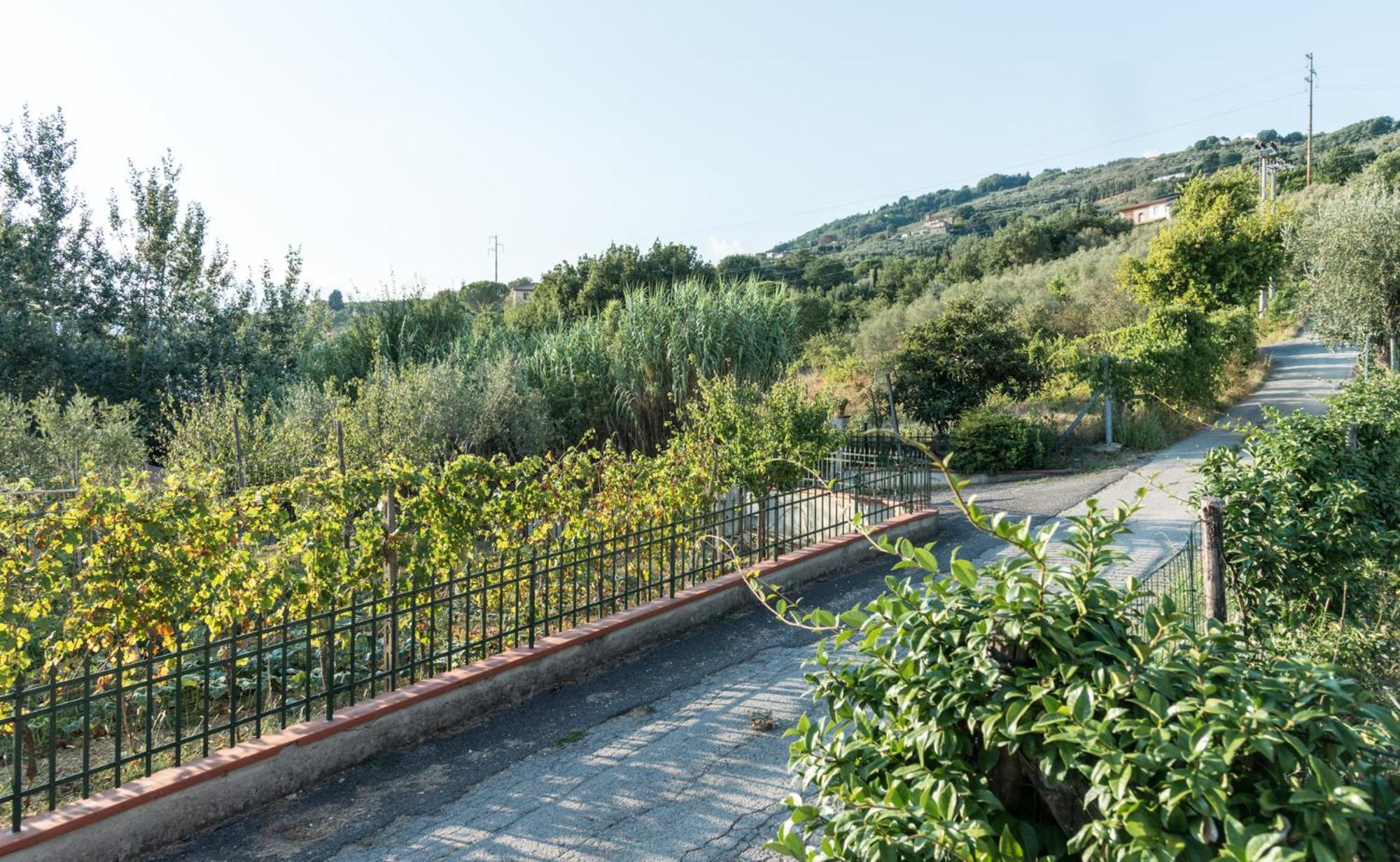 Fuga In Toscana บอร์โก อา บุจจาโน ภายนอก รูปภาพ