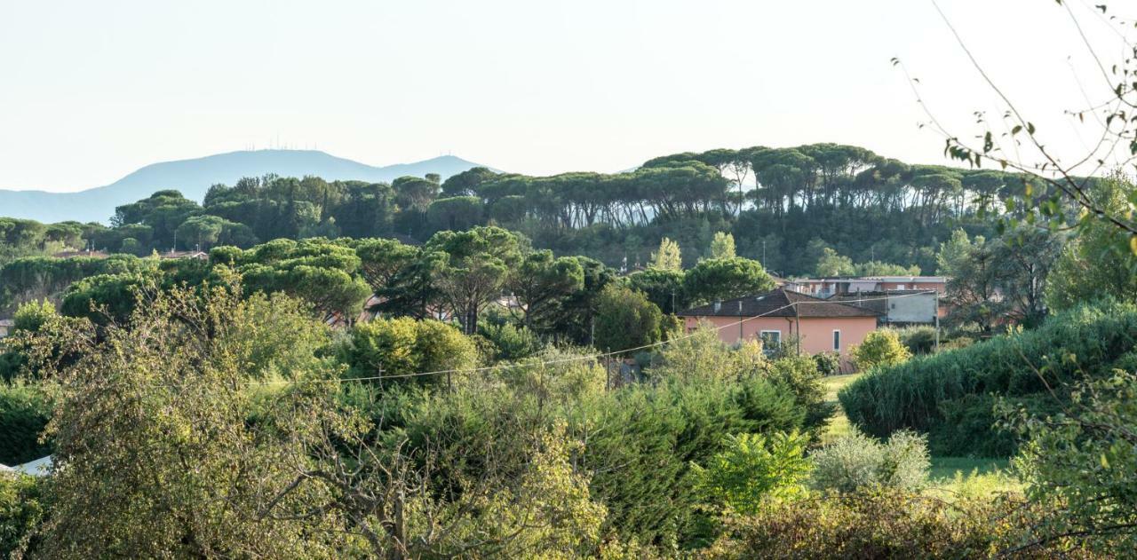 Fuga In Toscana บอร์โก อา บุจจาโน ภายนอก รูปภาพ